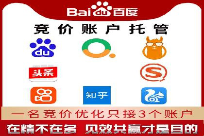 行业首例：SEM竞价优化案例的成效与启示
